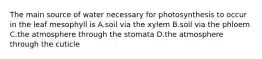 The main source of water necessary for photosynthesis to occur in the leaf mesophyll is A.soil via the xylem B.soil via the phloem C.the atmosphere through the stomata D.the atmosphere through the cuticle