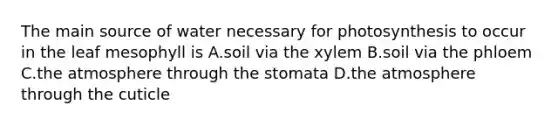 The main source of water necessary for photosynthesis to occur in the leaf mesophyll is A.soil via the xylem B.soil via the phloem C.the atmosphere through the stomata D.the atmosphere through the cuticle