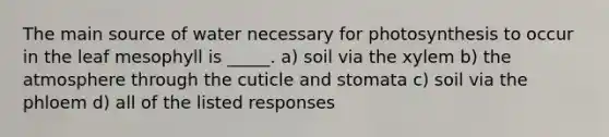 The main source of water necessary for photosynthesis to occur in the leaf mesophyll is _____. a) soil via the xylem b) the atmosphere through the cuticle and stomata c) soil via the phloem d) all of the listed responses