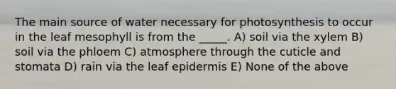 The main source of water necessary for photosynthesis to occur in the leaf mesophyll is from the _____. A) soil via the xylem B) soil via the phloem C) atmosphere through the cuticle and stomata D) rain via the leaf epidermis E) None of the above