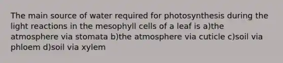 The main source of water required for photosynthesis during the light reactions in the mesophyll cells of a leaf is a)the atmosphere via stomata b)the atmosphere via cuticle c)soil via phloem d)soil via xylem