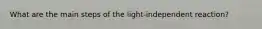 What are the main steps of the light-independent reaction?