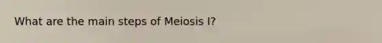 What are the main steps of Meiosis I?