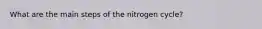 What are the main steps of the nitrogen cycle?