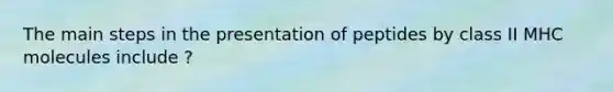 The main steps in the presentation of peptides by class II MHC molecules include ?