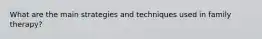 What are the main strategies and techniques used in family therapy?