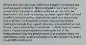 What is the main structural difference between enveloped and nonenveloped viruses? A) Nonenveloped viruses have only a phospholipid membrane, while enveloped viruses have two membranes, the other one being a protein capsid. B) Enveloped viruses have their genetic material enclosed by a layer made only of protein. C) Enveloped viruses have a phospholipid membrane outside their capsid, whereas nonenveloped viruses do not have a phospholipid membrane. D) Both types of viruses have a capsid and phospholipid membrane; but in the nonenveloped virus the genetic material is between these two membranes, while in the enveloped virus the genetic material is inside both membranes.