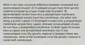 What is the main structural difference between enveloped and nonenveloped viruses? A) Enveloped viruses have their genetic material enclosed by a layer made only of protein. B) Nonenveloped viruses have only a phospholipid membrane, while enveloped viruses have two membranes, the other one being a protein capsid. C) Enveloped viruses have a phospholipid membrane outside their capsid, whereas nonenveloped viruses do not have a phospholipid membrane. D) Both types of viruses have a capsid and phospholipid membrane; but in the nonenveloped virus the genetic material is between these two membranes, while in the enveloped virus the genetic material is inside both membranes.