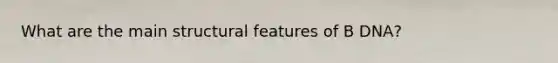 What are the main structural features of B DNA?