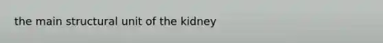 the main structural unit of the kidney