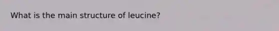 What is the main structure of leucine?