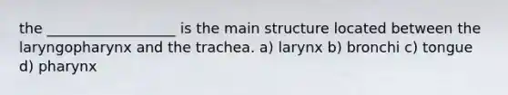 the __________________ is the main structure located between the laryngopharynx and the trachea. a) larynx b) bronchi c) tongue d) pharynx