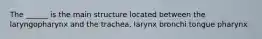 The ______ is the main structure located between the laryngopharynx and the trachea. larynx bronchi tongue pharynx