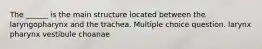 The ______ is the main structure located between the laryngopharynx and the trachea. Multiple choice question. larynx pharynx vestibule choanae