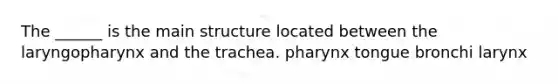 The ______ is the main structure located between the laryngopharynx and the trachea. pharynx tongue bronchi larynx