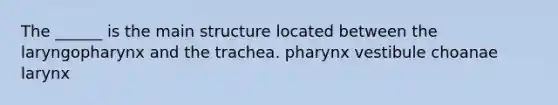 The ______ is the main structure located between the laryngopharynx and the trachea. pharynx vestibule choanae larynx