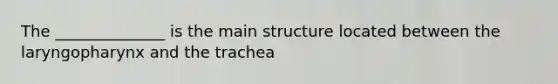 The ______________ is the main structure located between the laryngopharynx and the trachea