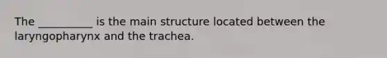 The __________ is the main structure located between the laryngopharynx and the trachea.