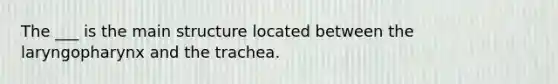 The ___ is the main structure located between the laryngopharynx and the trachea.