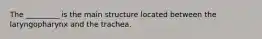 The _________ is the main structure located between the laryngopharynx and the trachea.
