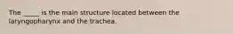 The _____ is the main structure located between the laryngopharynx and the trachea.