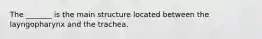The _______ is the main structure located between the layngopharynx and the trachea.