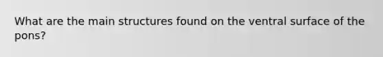 What are the main structures found on the ventral surface of the pons?