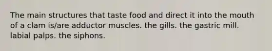 The main structures that taste food and direct it into the mouth of a clam is/are adductor muscles. the gills. the gastric mill. labial palps. the siphons.