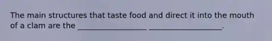 The main structures that taste food and direct it into the mouth of a clam are the __________________ ___________________.