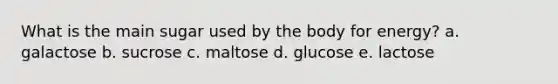 What is the main sugar used by the body for energy? a. galactose b. sucrose c. maltose d. glucose e. lactose