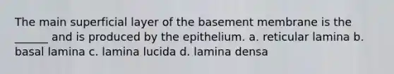 The main superficial layer of the basement membrane is the ______ and is produced by the epithelium. a. reticular lamina b. basal lamina c. lamina lucida d. lamina densa