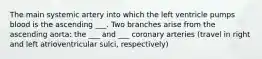 The main systemic artery into which the left ventricle pumps blood is the ascending ___. Two branches arise from the ascending aorta: the ___ and ___ coronary arteries (travel in right and left atrioventricular sulci, respectively)