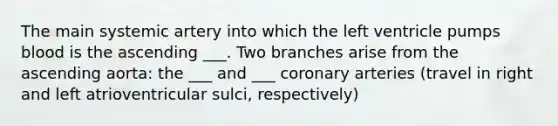 The main systemic artery into which the left ventricle pumps blood is the ascending ___. Two branches arise from the ascending aorta: the ___ and ___ coronary arteries (travel in right and left atrioventricular sulci, respectively)