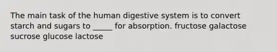 The main task of the human digestive system is to convert starch and sugars to _____ for absorption. fructose galactose sucrose glucose lactose