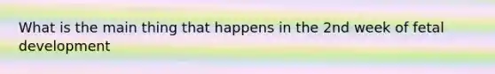 What is the main thing that happens in the 2nd week of fetal development