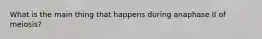 What is the main thing that happens during anaphase II of meiosis?