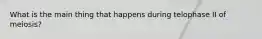What is the main thing that happens during telophase II of meiosis?
