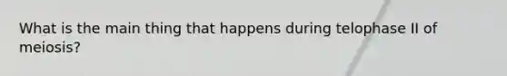 What is the main thing that happens during telophase II of meiosis?