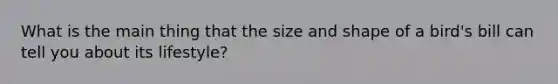 What is the main thing that the size and shape of a bird's bill can tell you about its lifestyle?
