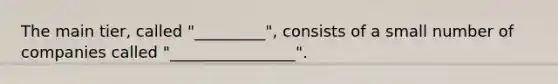 The main tier, called "_________", consists of a small number of companies called "________________".