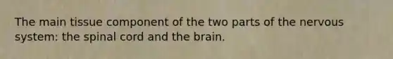 The main tissue component of the two parts of the nervous system: the spinal cord and the brain.