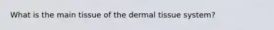 What is the main tissue of the dermal tissue system?