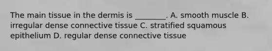 The main tissue in the dermis is ________. A. smooth muscle B. irregular dense connective tissue C. stratified squamous epithelium D. regular dense connective tissue