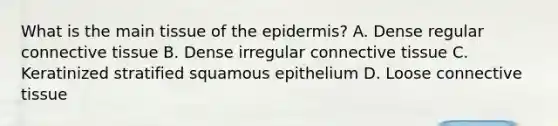 What is the main tissue of the epidermis? A. Dense regular connective tissue B. Dense irregular connective tissue C. Keratinized stratified squamous epithelium D. Loose connective tissue