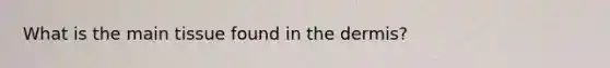 What is the main tissue found in the dermis?