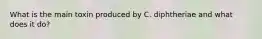 What is the main toxin produced by C. diphtheriae and what does it do?
