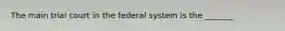 The main trial court in the federal system is the _______