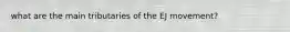 what are the main tributaries of the EJ movement?