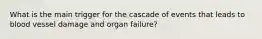 What is the main trigger for the cascade of events that leads to blood vessel damage and organ failure?