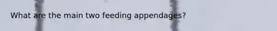 What are the main two feeding appendages?